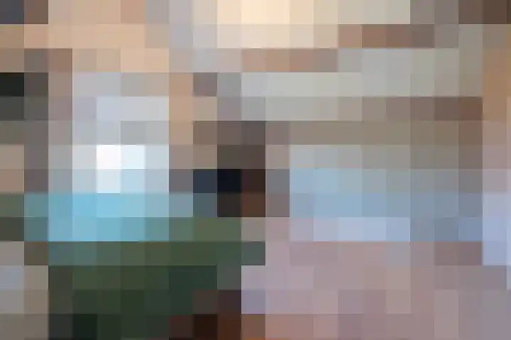 Wilhelminastraat 12 Bosschenhoofd thumbnail 45