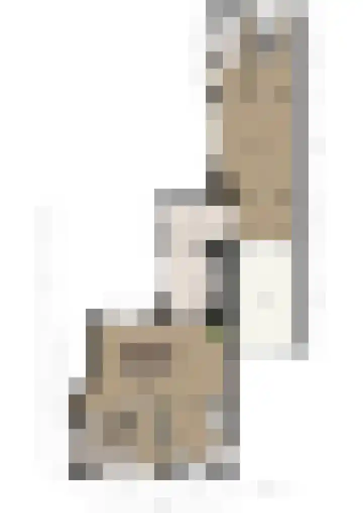 Wilhelminastraat 12 Bosschenhoofd thumbnail 47