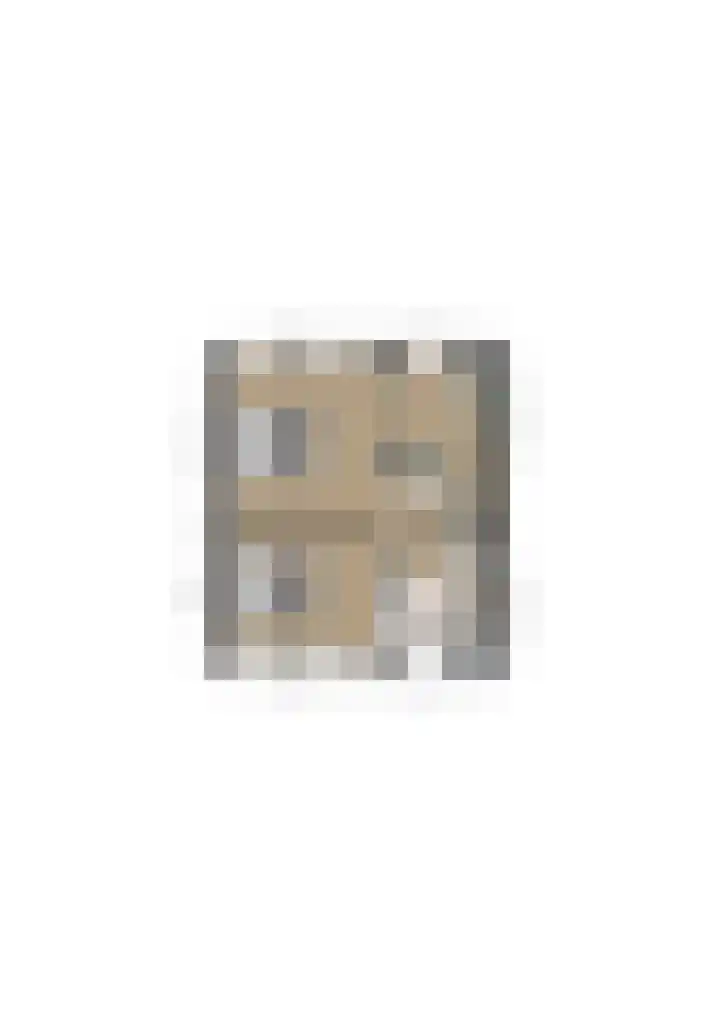 Wilhelminastraat 12 Bosschenhoofd thumbnail 48