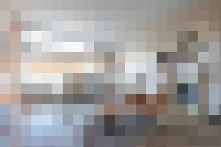 Wilhelminastraat 12 Bosschenhoofd thumbnail 7
