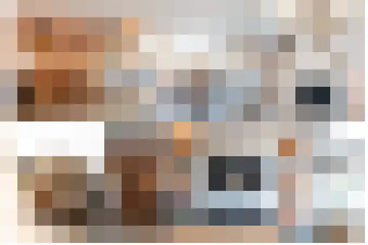 Wilhelminastraat 12 Bosschenhoofd thumbnail 8