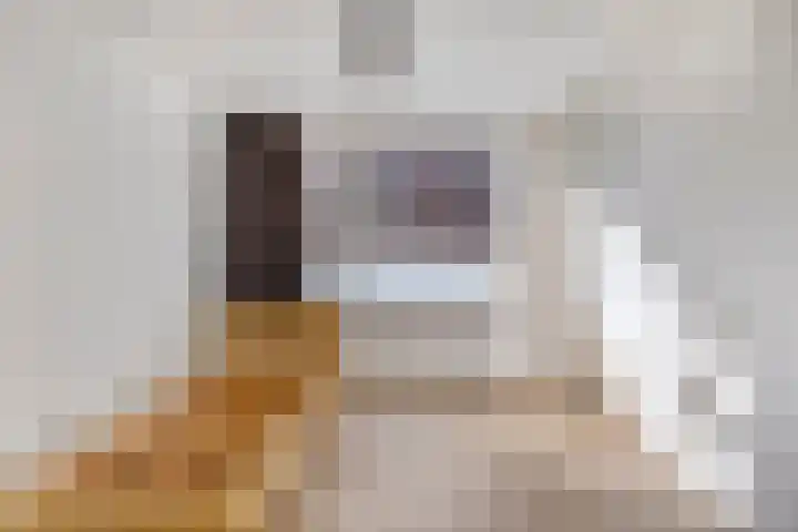 Wilhelminastraat 12 c Vlissingen thumbnail 16