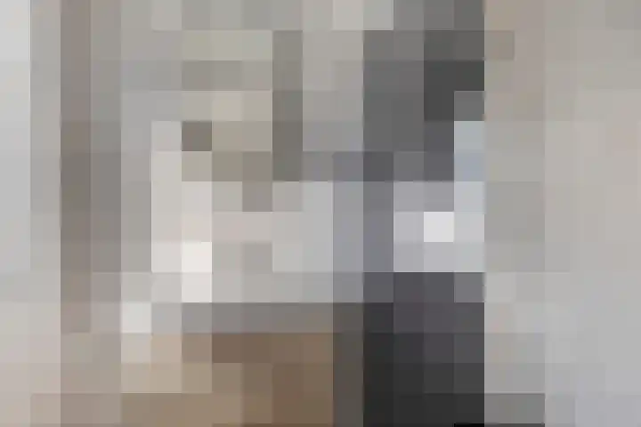 Wilhelminastraat 12 c Vlissingen thumbnail 4