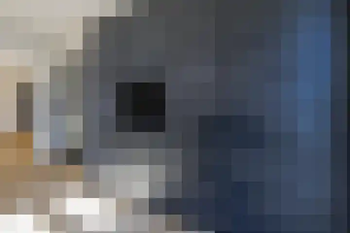 Wilhelminastraat 12 Dinteloord thumbnail 10