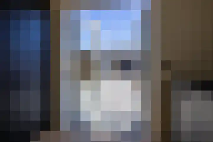 Wilhelminastraat 12 Dinteloord thumbnail 13