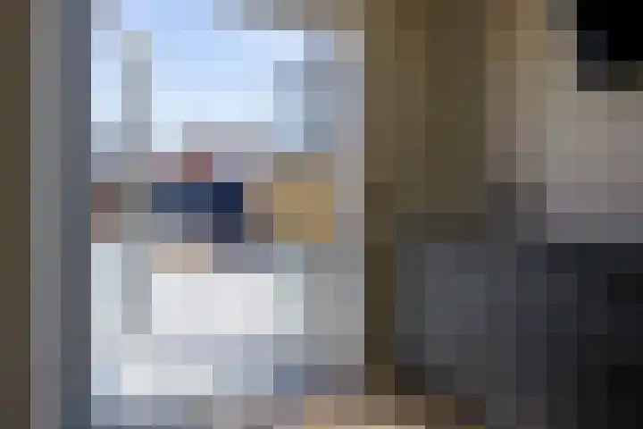 Wilhelminastraat 12 Dinteloord thumbnail 14
