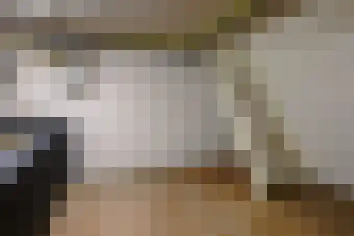 Wilhelminastraat 12 Dinteloord thumbnail 16
