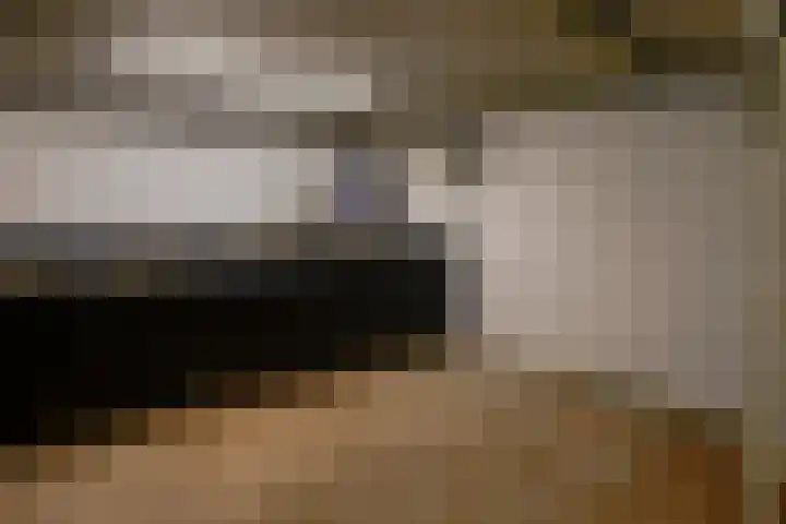 Wilhelminastraat 12 Dinteloord thumbnail 17