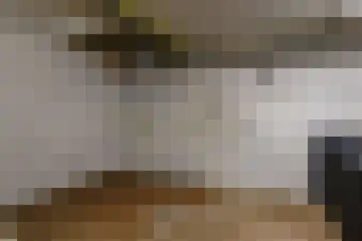Wilhelminastraat 12 Dinteloord thumbnail 18