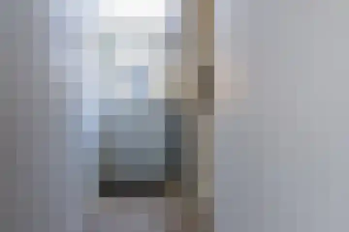 Wilhelminastraat 12 Dinteloord thumbnail 19