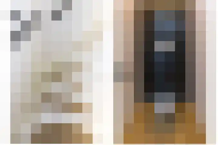 Wilhelminastraat 12 Dinteloord thumbnail 20