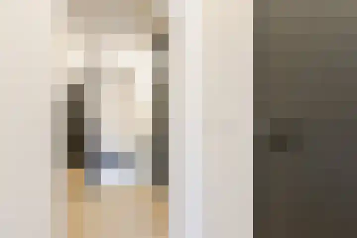 Wilhelminastraat 12 Dinteloord thumbnail 21