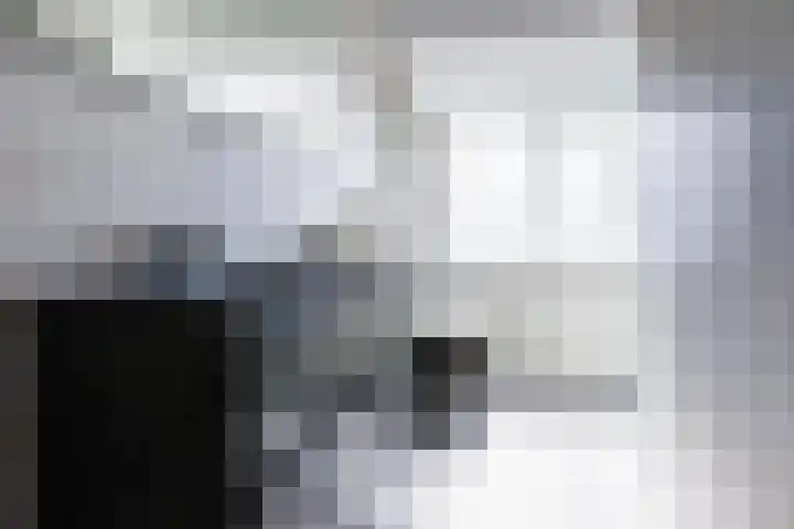 Wilhelminastraat 12 Dinteloord thumbnail 22