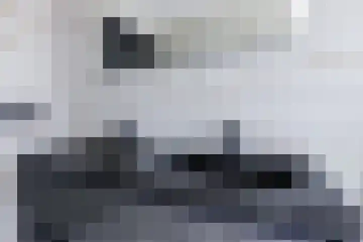 Wilhelminastraat 12 Dinteloord thumbnail 23