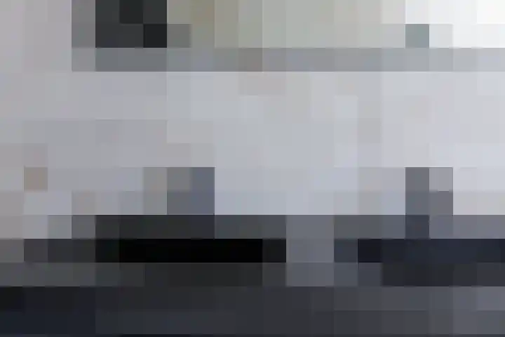 Wilhelminastraat 12 Dinteloord thumbnail 24