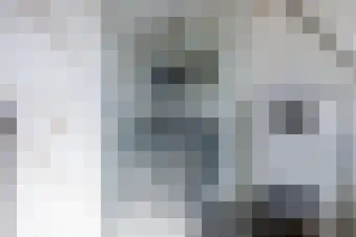 Wilhelminastraat 12 Dinteloord thumbnail 25