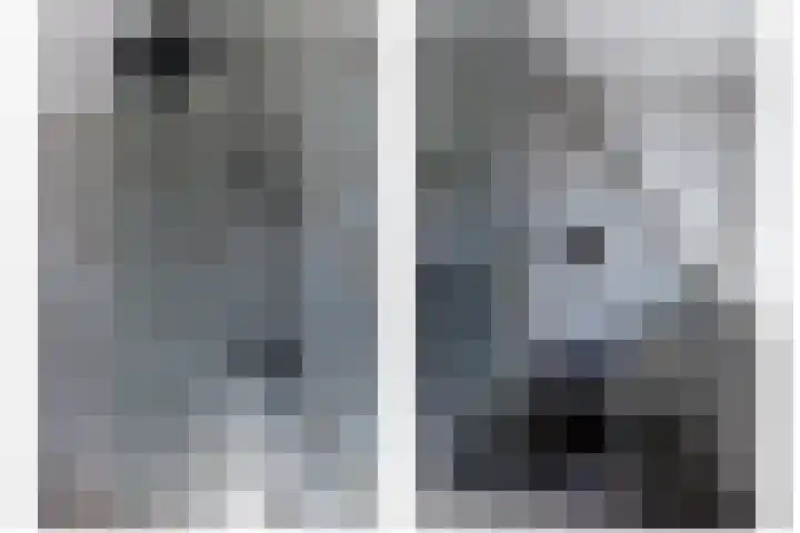 Wilhelminastraat 12 Dinteloord thumbnail 26