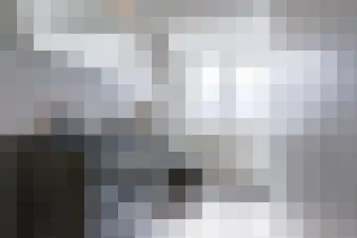 Wilhelminastraat 12 Dinteloord thumbnail 27