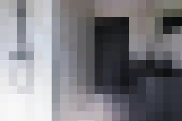 Wilhelminastraat 12 Dinteloord thumbnail 28