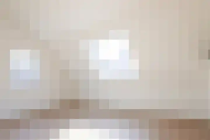 Wilhelminastraat 12 Dinteloord thumbnail 29