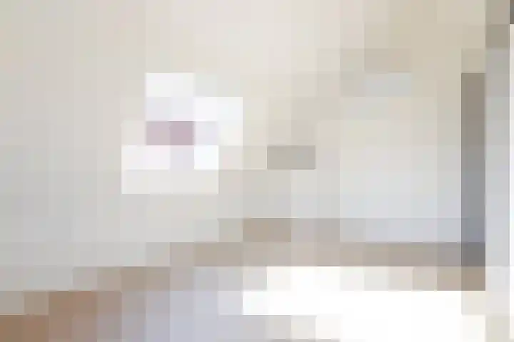 Wilhelminastraat 12 Dinteloord thumbnail 30