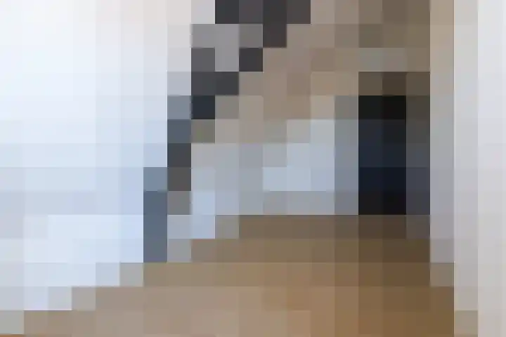 Wilhelminastraat 12 Dinteloord thumbnail 32