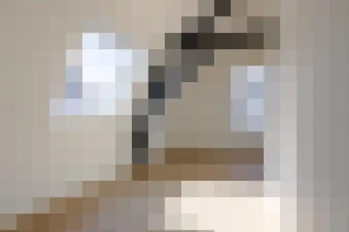 Wilhelminastraat 12 Dinteloord thumbnail 33