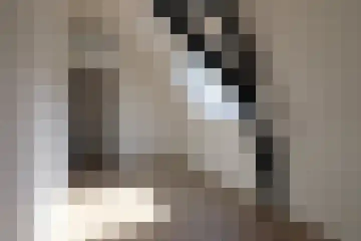 Wilhelminastraat 12 Dinteloord thumbnail 34