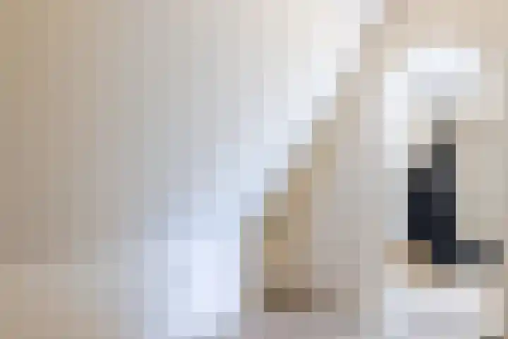 Wilhelminastraat 12 Dinteloord thumbnail 36