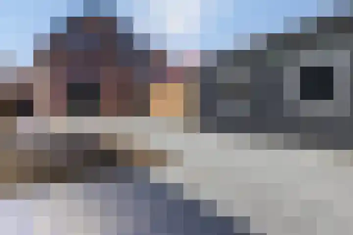 Wilhelminastraat 12 Dinteloord thumbnail 37