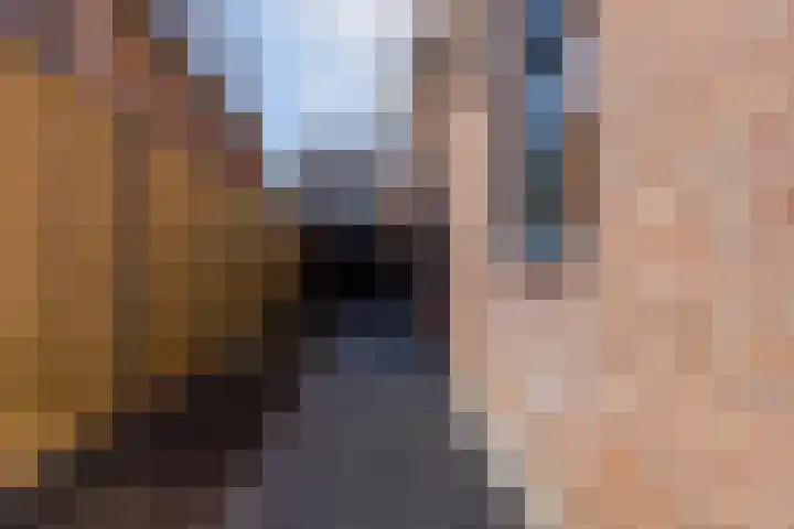 Wilhelminastraat 12 Dinteloord thumbnail 40