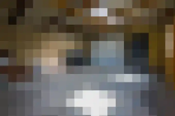 Wilhelminastraat 12 Dinteloord thumbnail 43