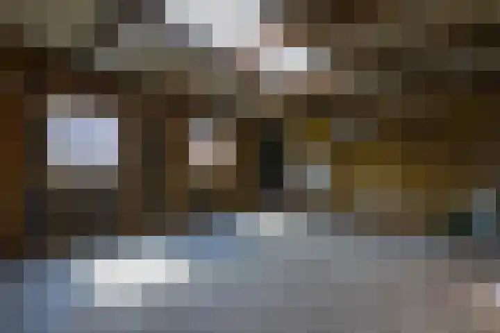 Wilhelminastraat 12 Dinteloord thumbnail 44