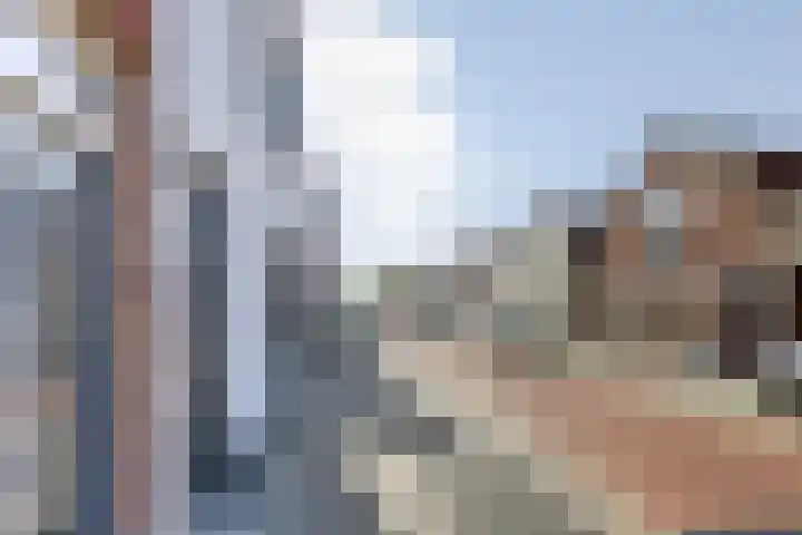 Wilhelminastraat 12 Dinteloord thumbnail 49