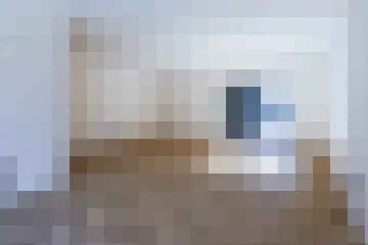 Wilhelminastraat 12 Dinteloord thumbnail 5