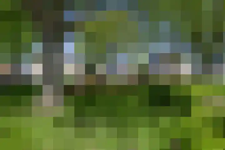 Wilhelminastraat 12 Dinteloord thumbnail 50