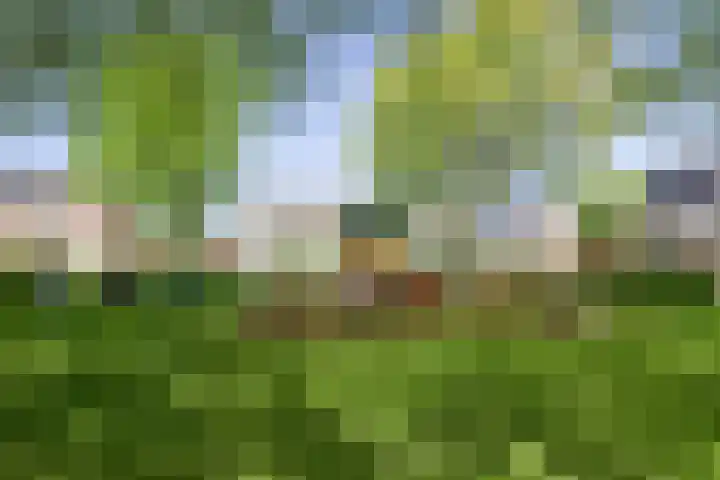 Wilhelminastraat 12 Dinteloord thumbnail 51