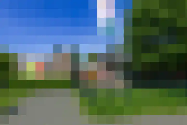 Wilhelminastraat 12 Dinteloord thumbnail 52