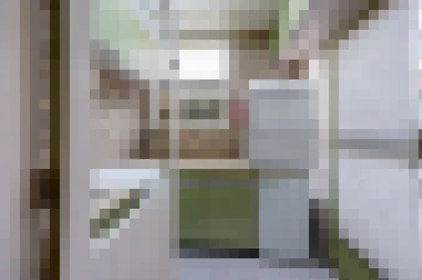 Wilhelminastraat 12 Gendt thumbnail 11
