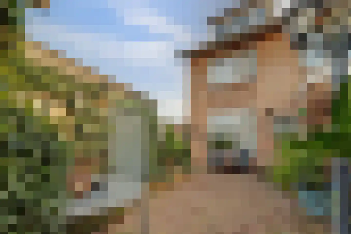 Wilhelminastraat 12 Gendt thumbnail 16
