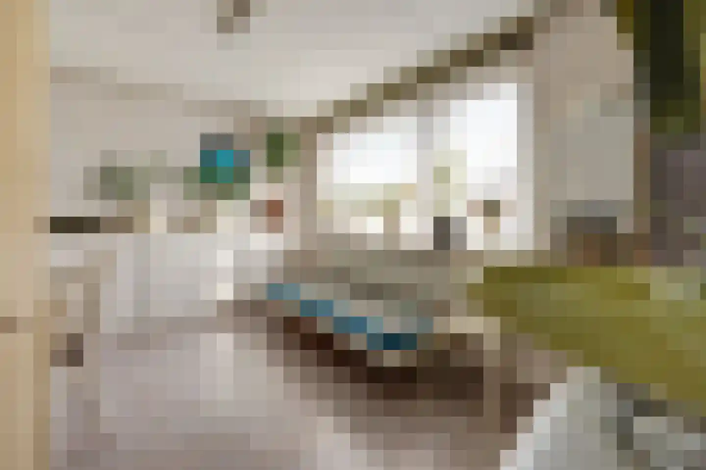 Wilhelminastraat 12 Gendt thumbnail 24