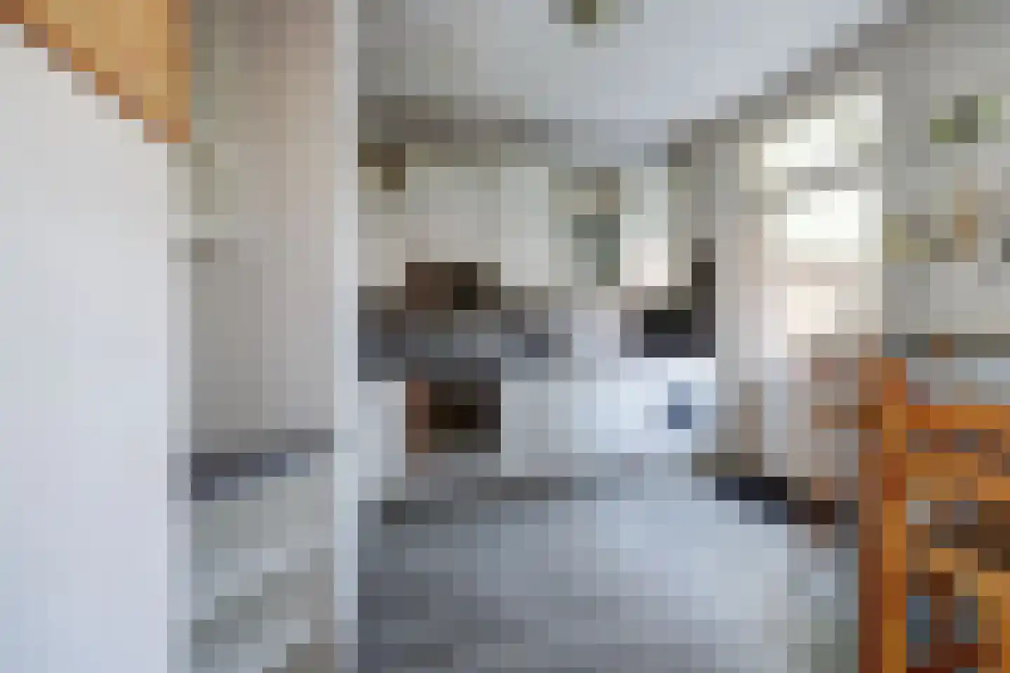 Wilhelminastraat 12 Gendt thumbnail 8