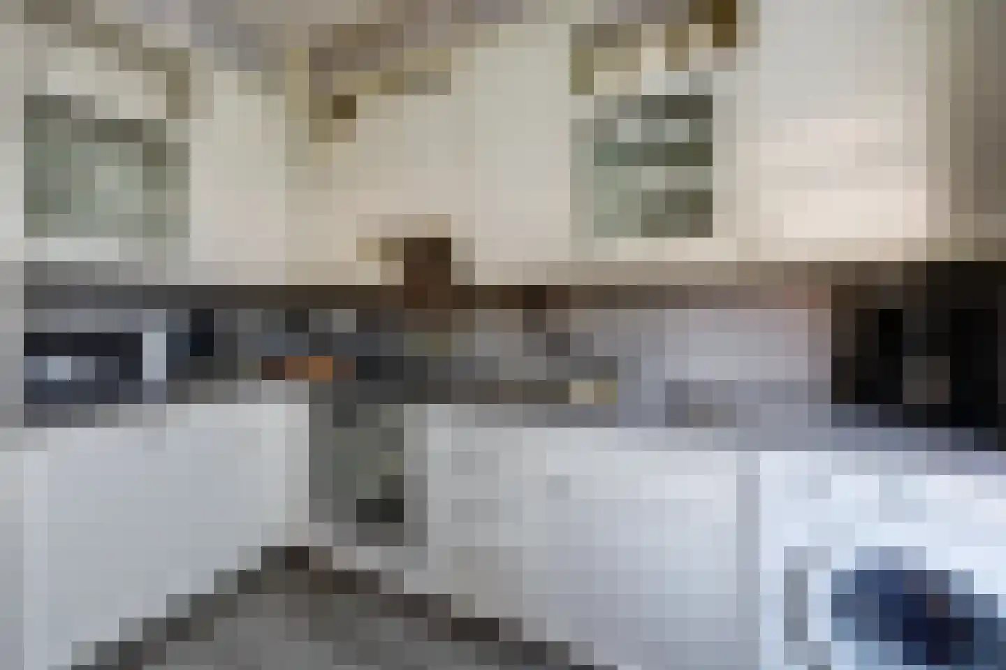 Wilhelminastraat 12 Gendt thumbnail 9