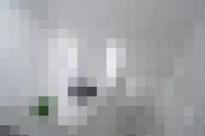 Wilhelminastraat 12 Kollum thumbnail 27
