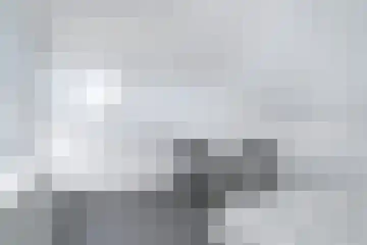 Wilhelminastraat 12 Kollum thumbnail 33