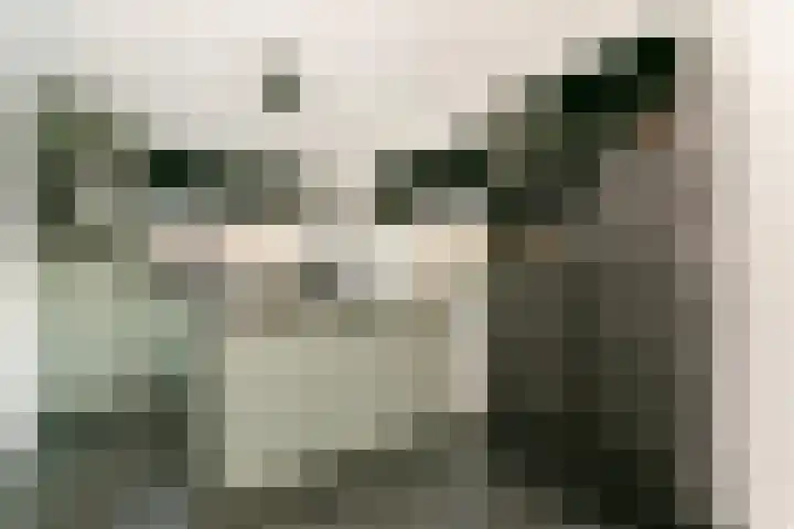 Wilhelminastraat 12 Meteren thumbnail 13