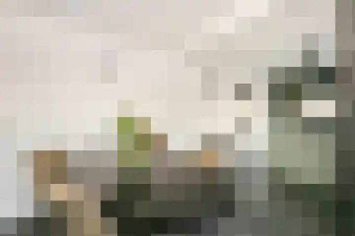 Wilhelminastraat 12 Meteren thumbnail 14