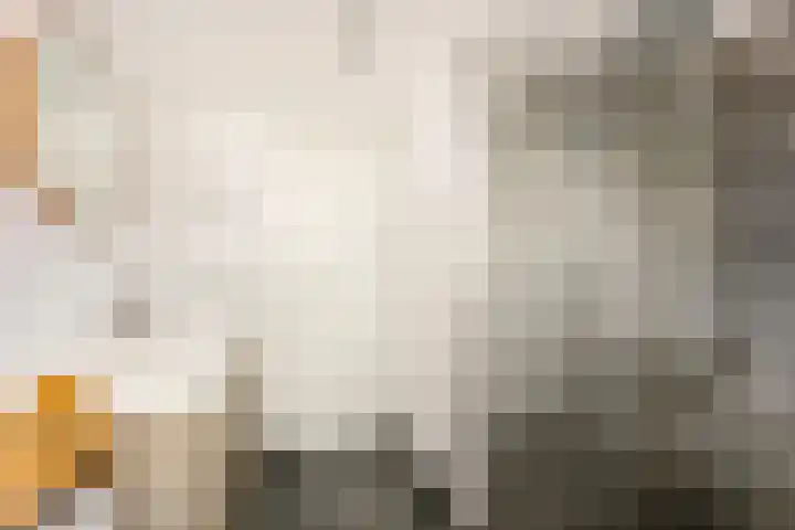 Wilhelminastraat 12 Meteren thumbnail 26