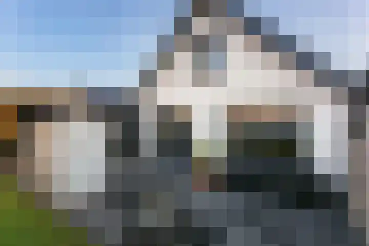 Wilhelminastraat 12 Meteren thumbnail 27