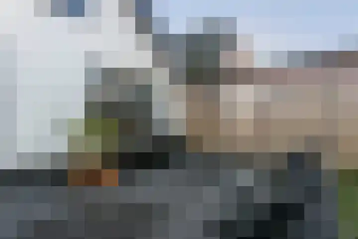 Wilhelminastraat 12 Meteren thumbnail 30
